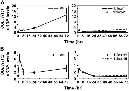 Figure 7.