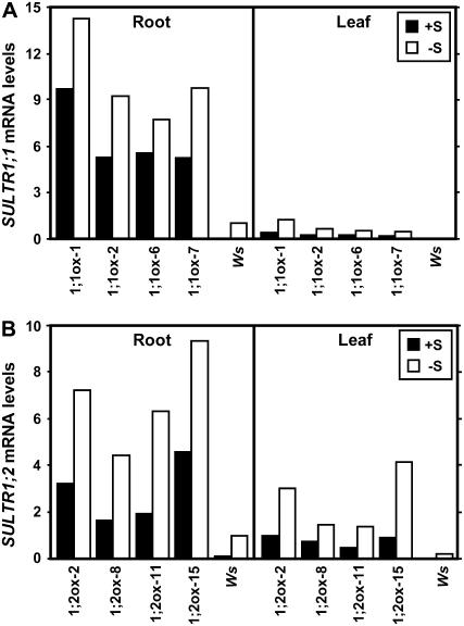 Figure 4.