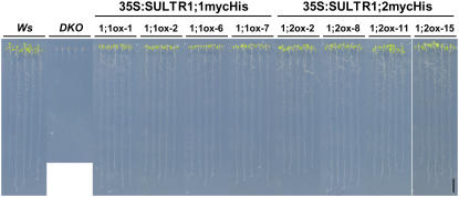 Figure 3.