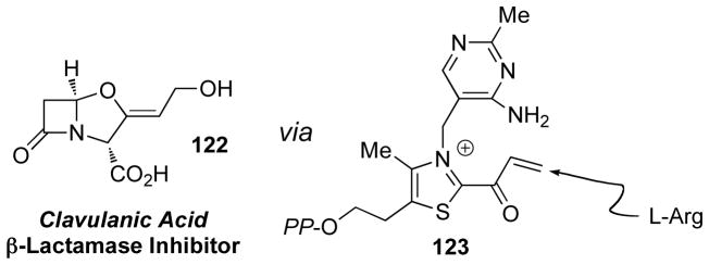 Scheme 118