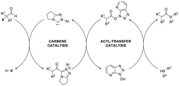 Scheme 193