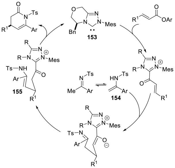 Scheme 145