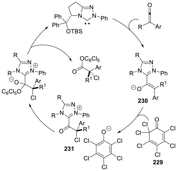 Scheme 216