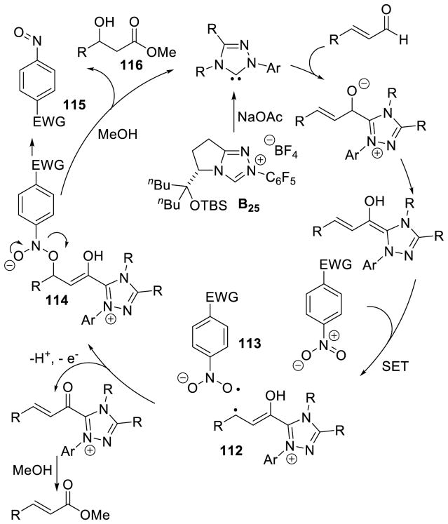 Scheme 113