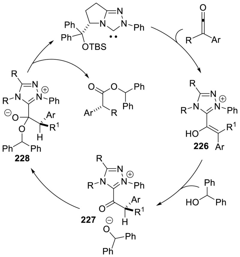 Scheme 213