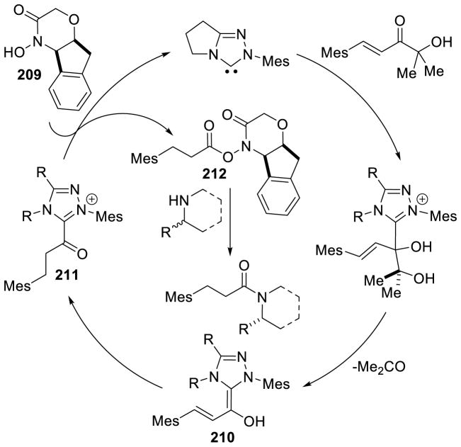 Scheme 195