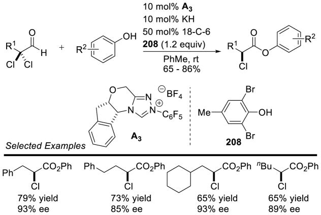 Scheme 191