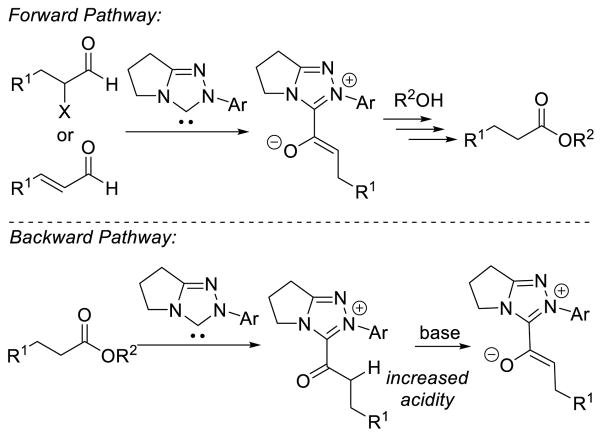 Scheme 222