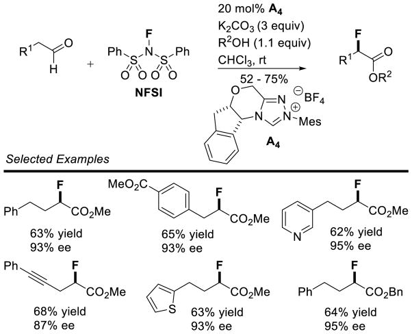 Scheme 219