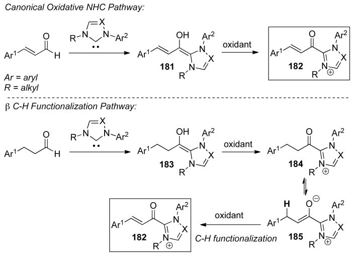 Scheme 167