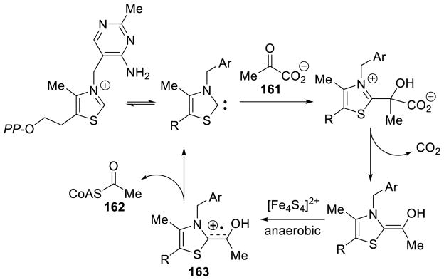 Scheme 151