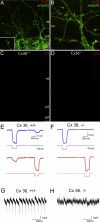 Figure 5