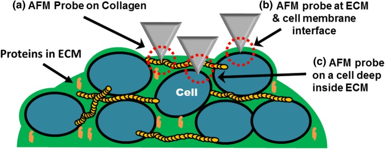 Figure 5