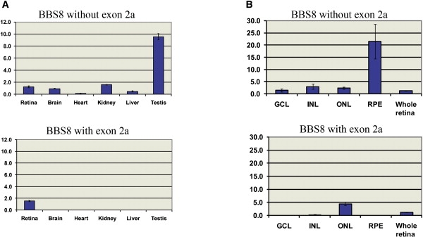 Figure 4