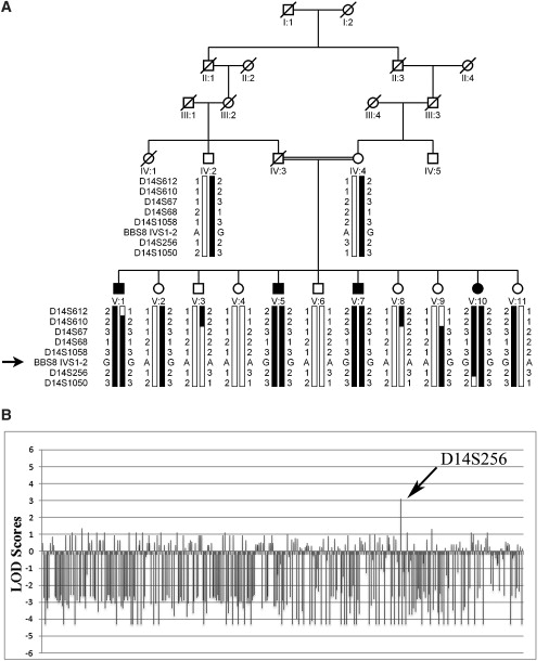 Figure 1