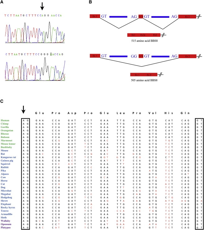 Figure 3