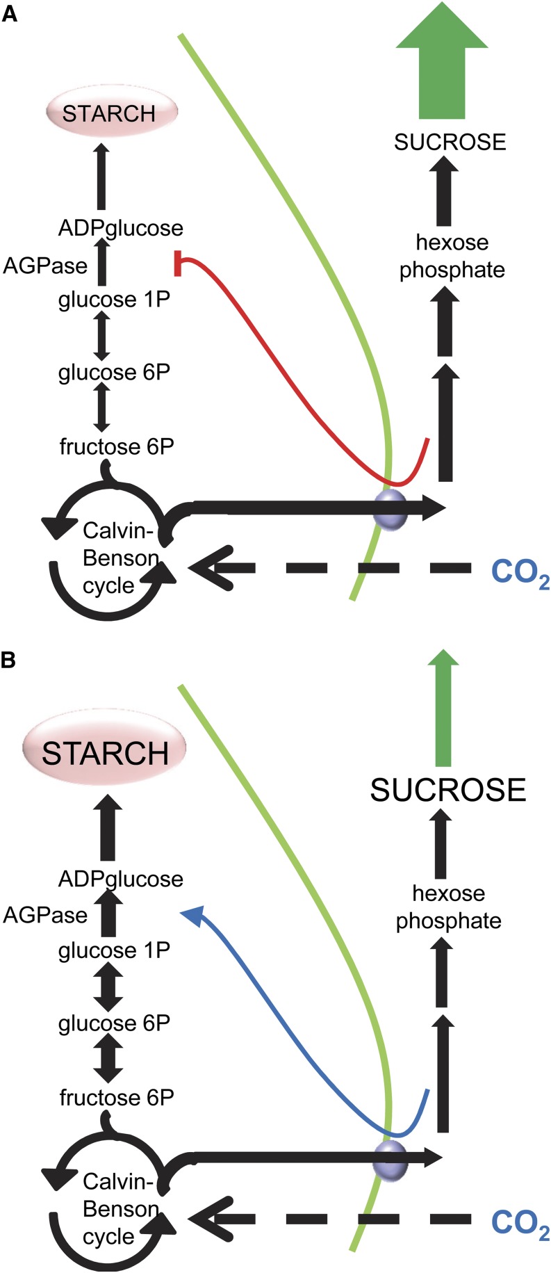 Figure 6.