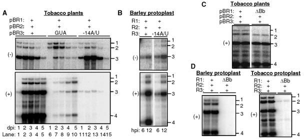 FIG. 4.