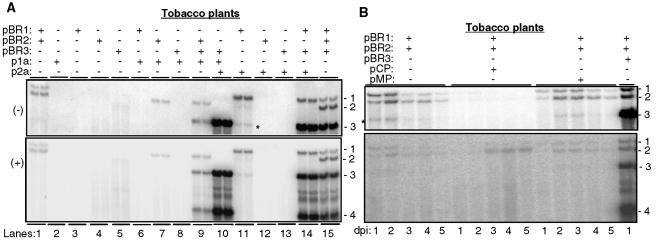 FIG. 5.