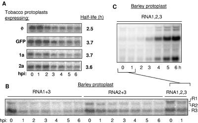 FIG. 9.