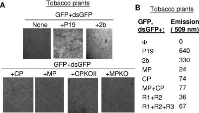 FIG. 7.