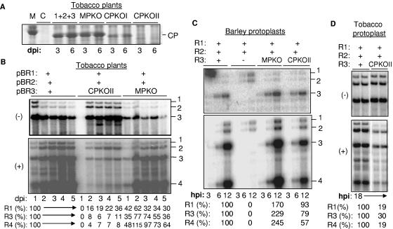 FIG. 6.