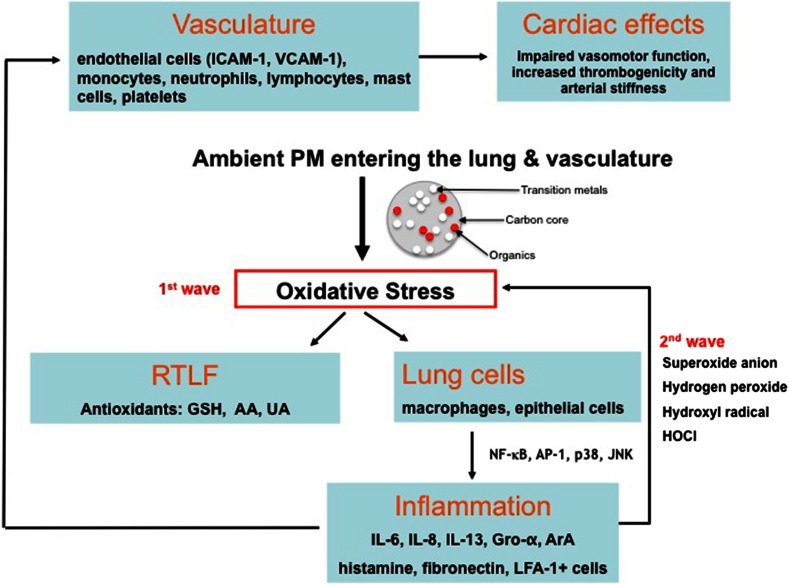 Fig. 4