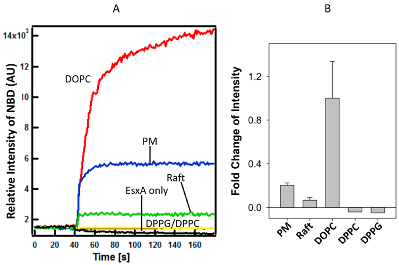 Figure 5.