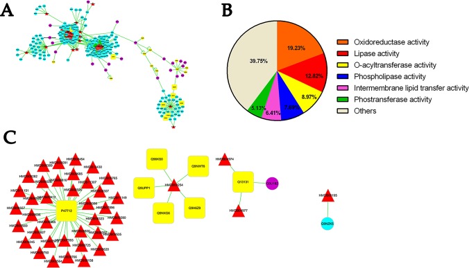 Figure 6