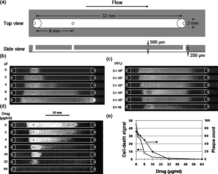 Fig. 3