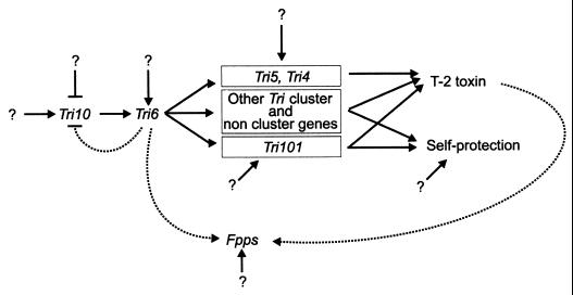 FIG. 7