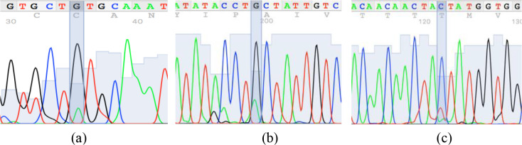 Figure 2