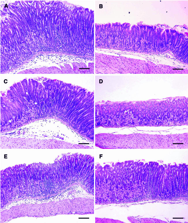 FIG. 7.