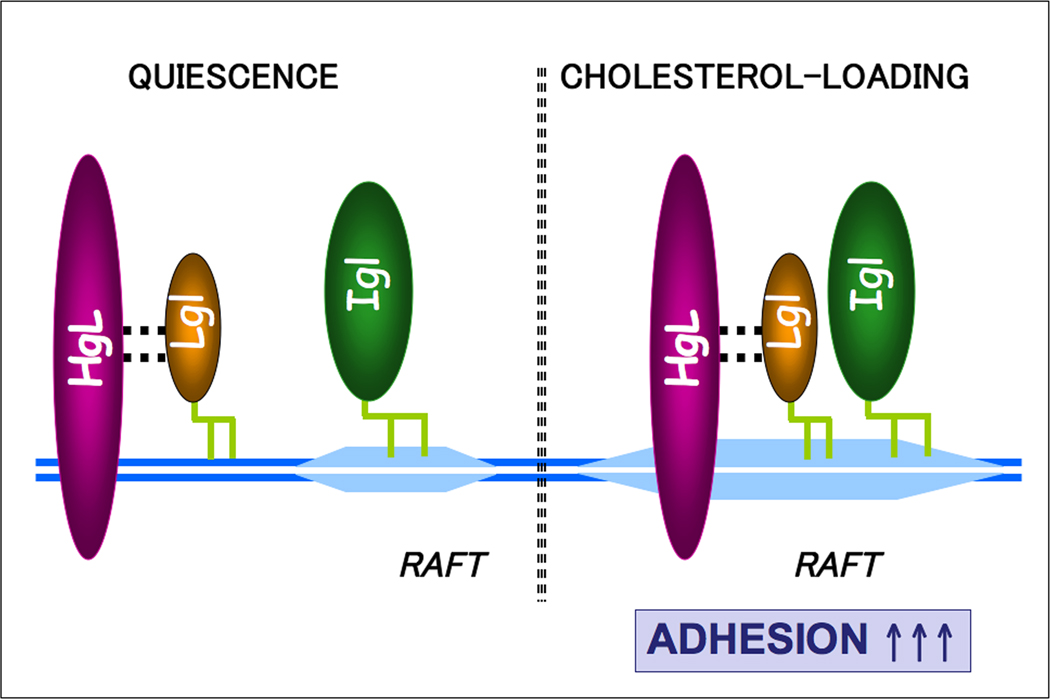 Fig. 11