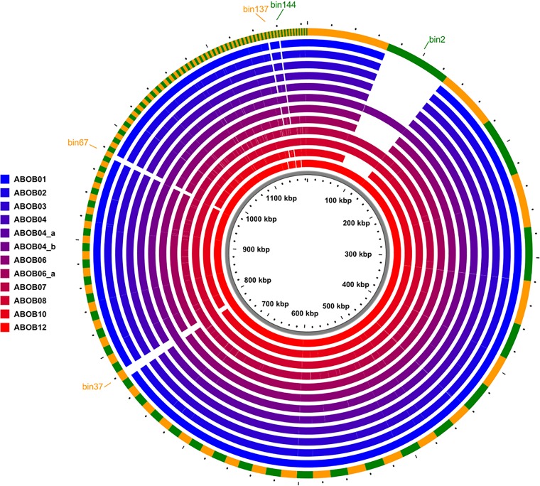 FIG 6