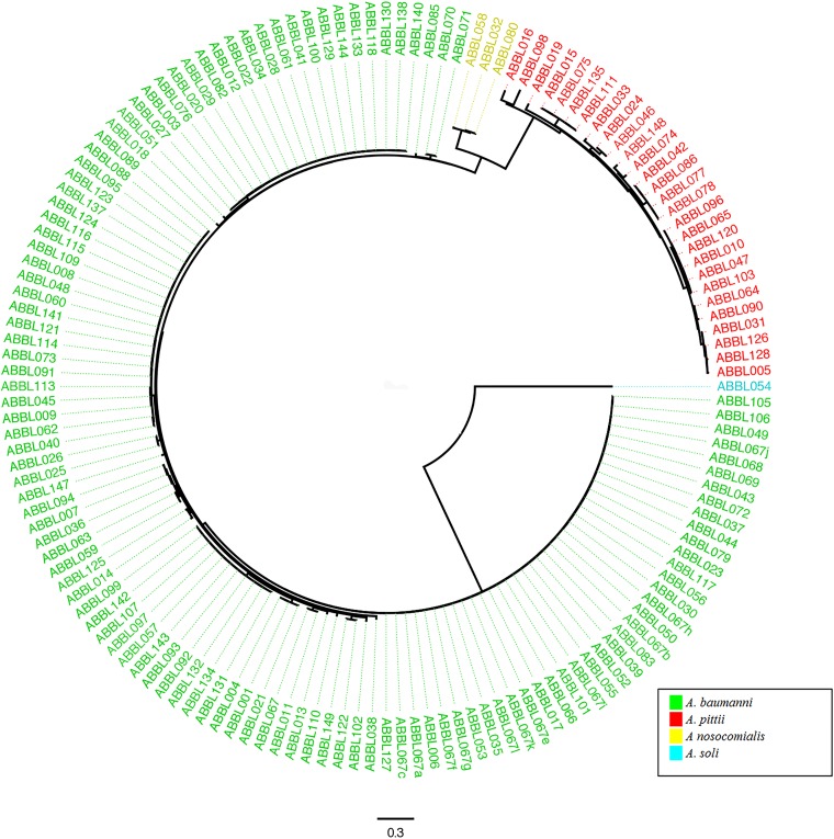 FIG 1