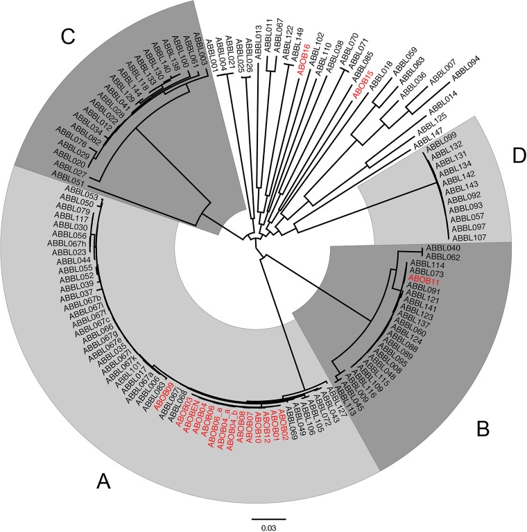 FIG 2