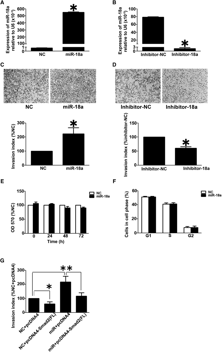 Figure 6