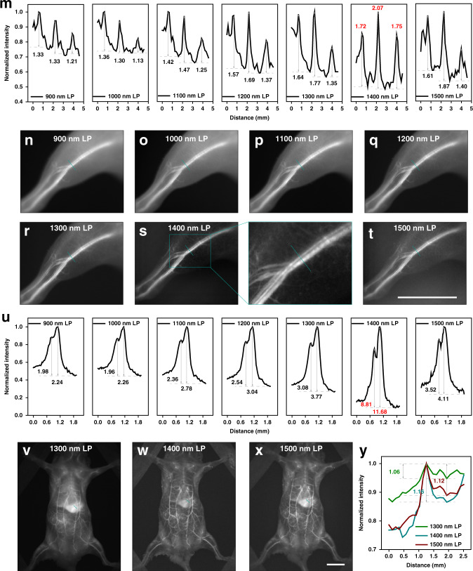 Fig. 8