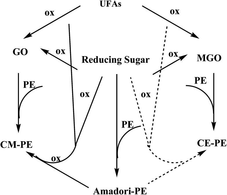 Fig. 11