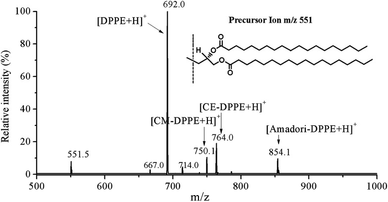 Fig. 3