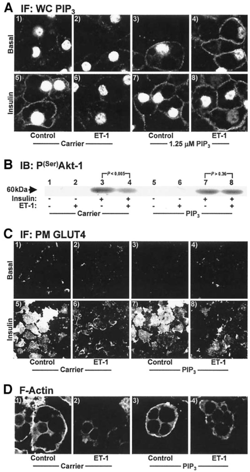 FIG. 8