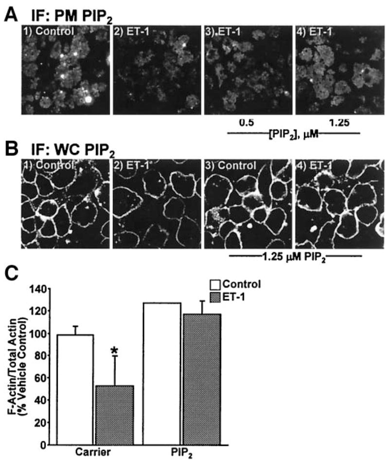 FIG. 6