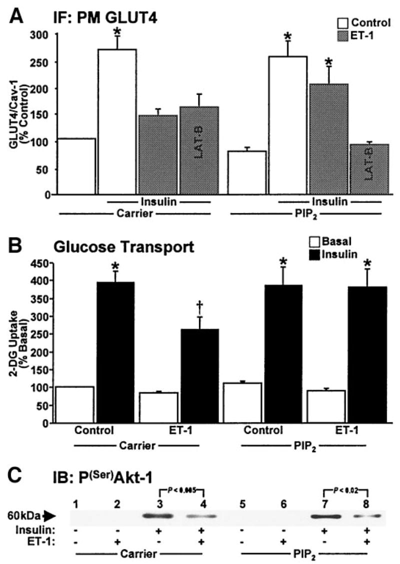 FIG. 7