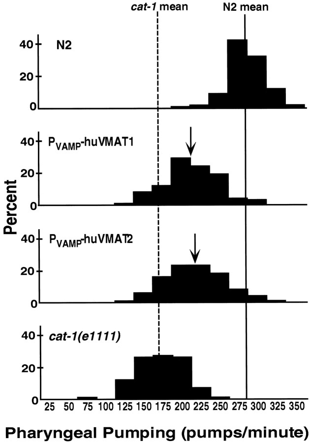 Fig. 10.