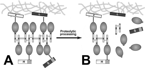 Figure 11.