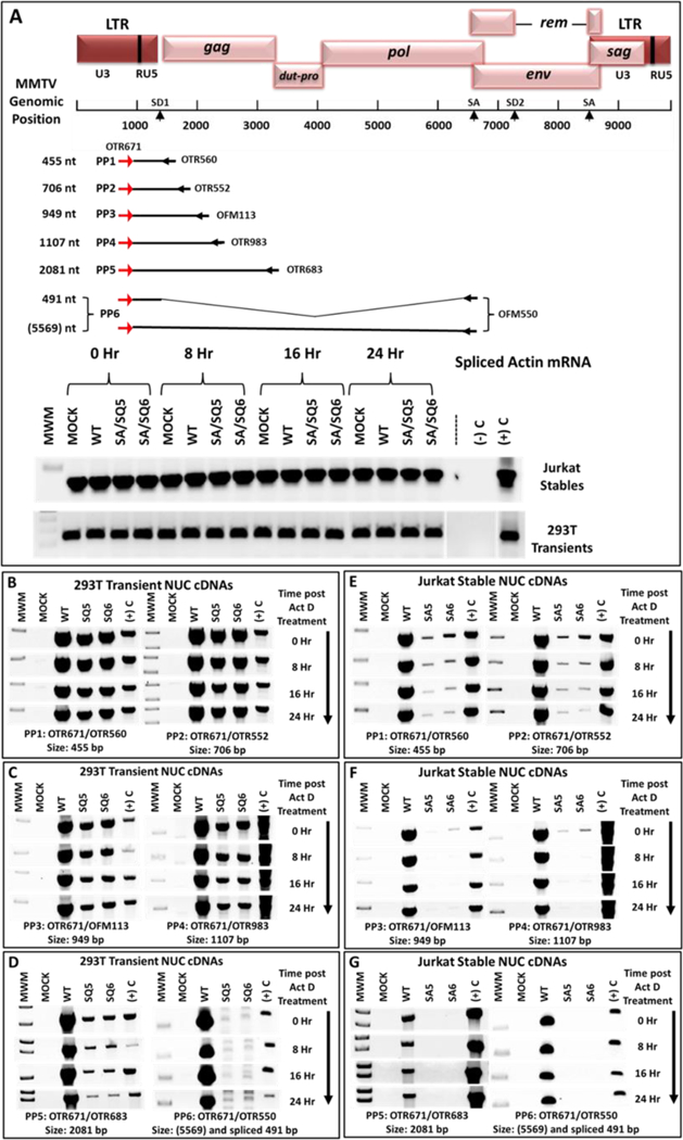 Figure 7: