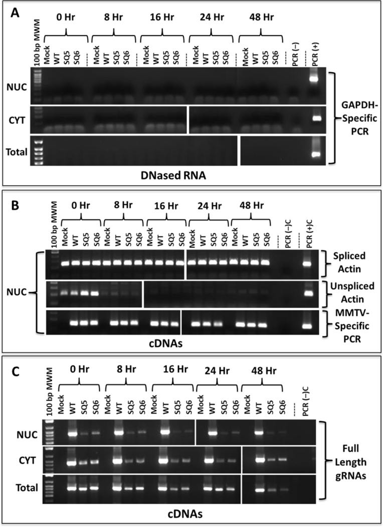 Figure 5: