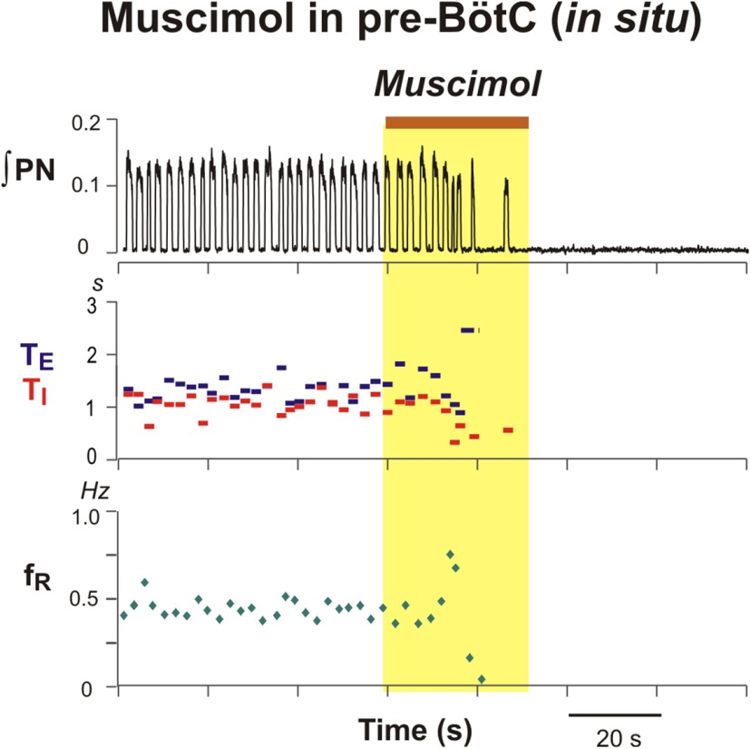 Figure 12.