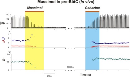 Figure 11.